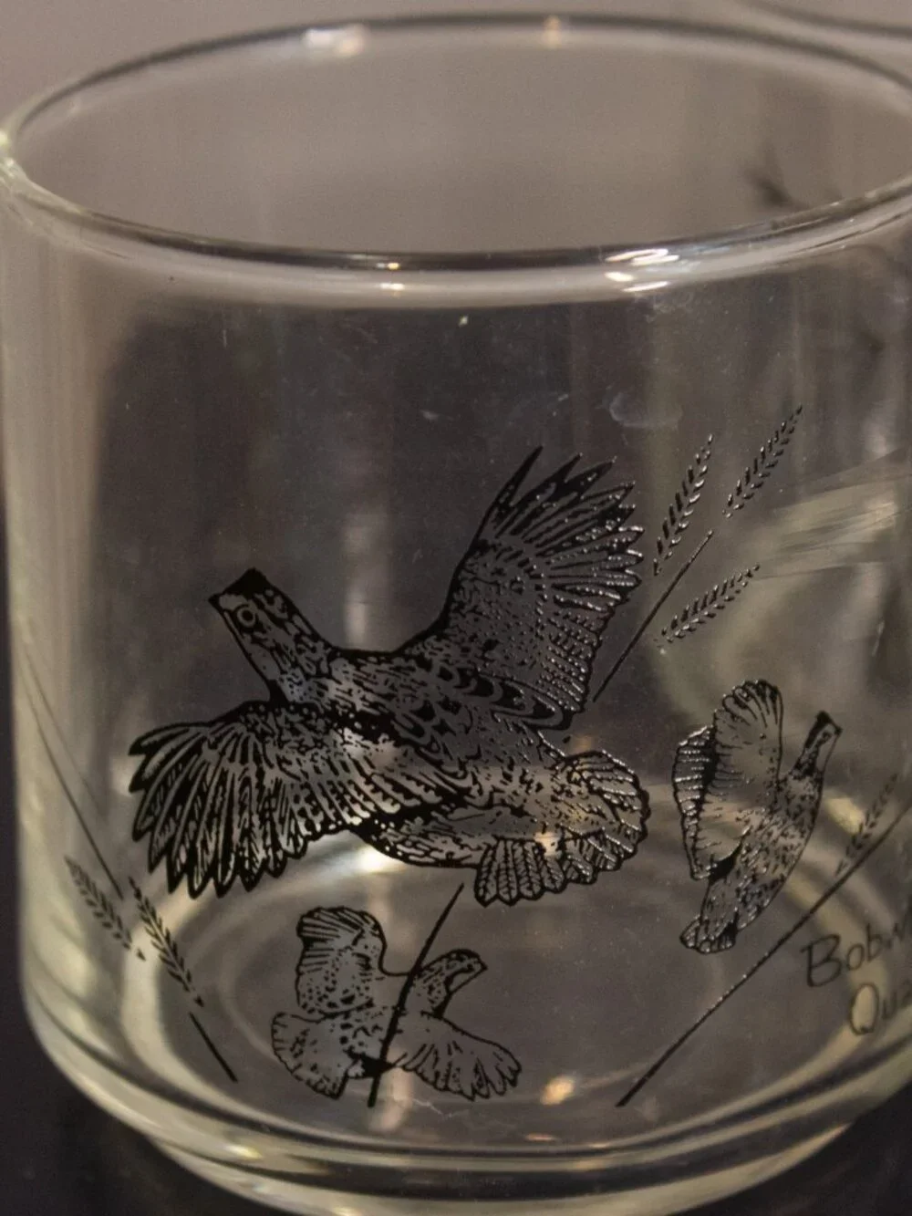 Vintage Wildlife Drinking Glasses | Federal Glass | Game Birds | 6 oz Tumblers